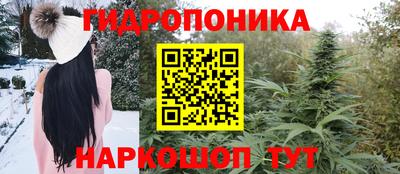 гидропоника Кунгур