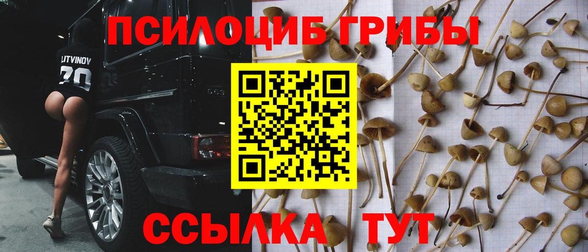 Ирбит  Псилоцибиновые грибы MAGIC MUSHROOMS  Вход с VPN 